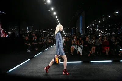 Look 15